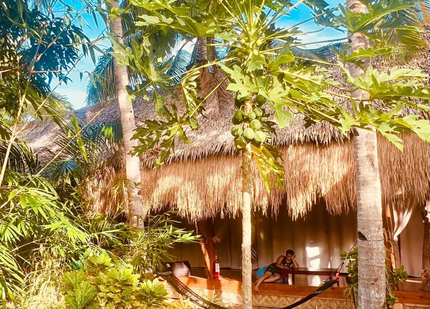 Nautilus Hostel & Hammocks Panglao