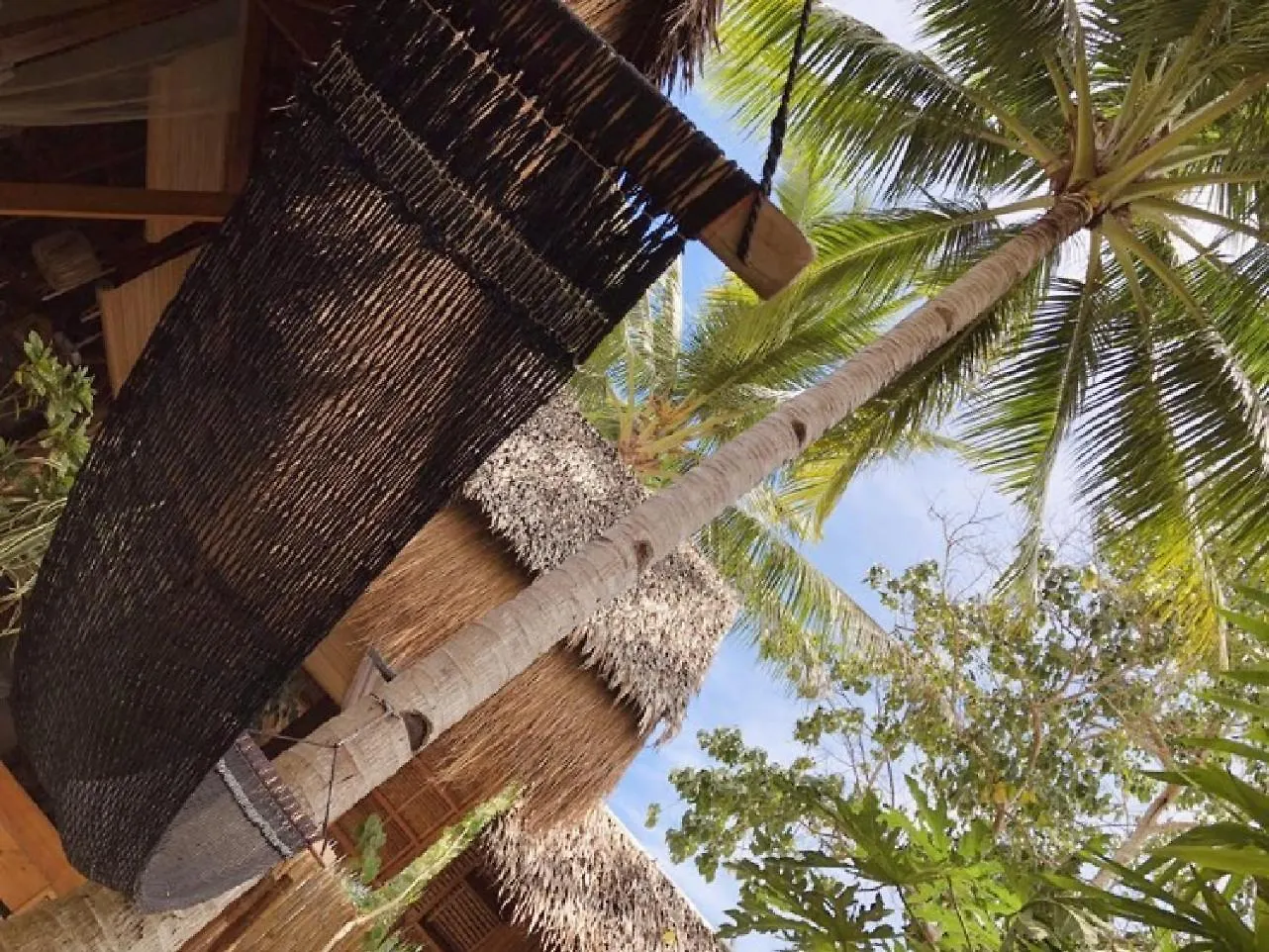 Inn Nautilus Hostel & Hammocks Panglao